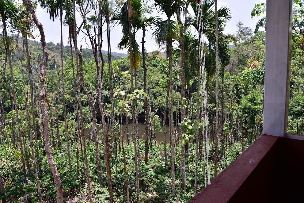 River Near Coorg Jambur Exterior foto